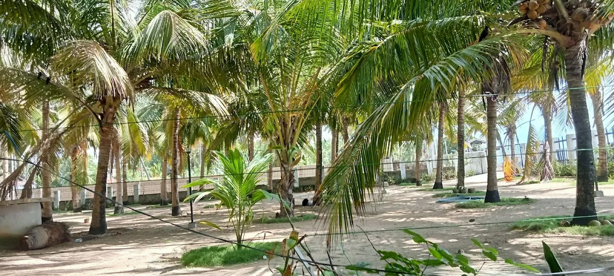 Coco Garden in Akkarepattu