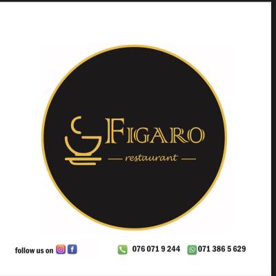 Figaro - Profile Picture