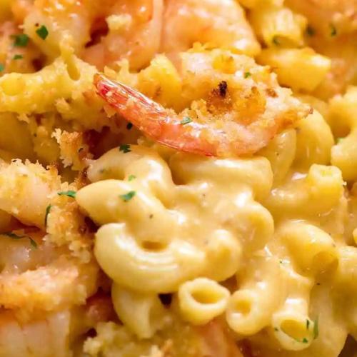 Cheese Seafood