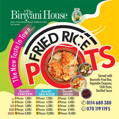 10 Person Fried Rice Pot