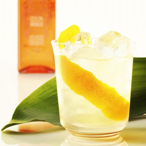SUDU MANIKA (Arrack Sour)  at Daffodil Restaurant Unawatuna 