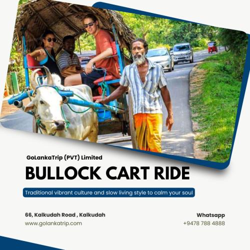 Bullock Cart Ride at GoLankaTrip (PVT) Limited